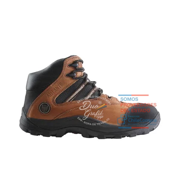 Botin Edelbrock Ed 102