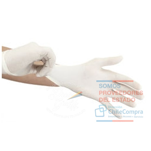 Guante Latex Quirúrgico Blanco S